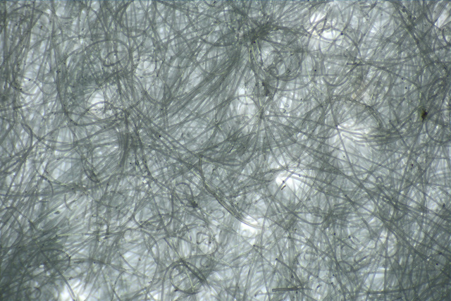 陶瓷纤维材料显微镜结构观察